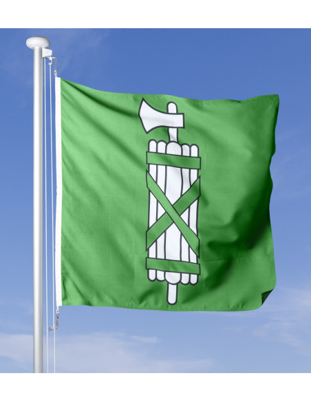 Bandiera San Gallo che sventola al vento sul pennone, cielo blu sullo sfondo