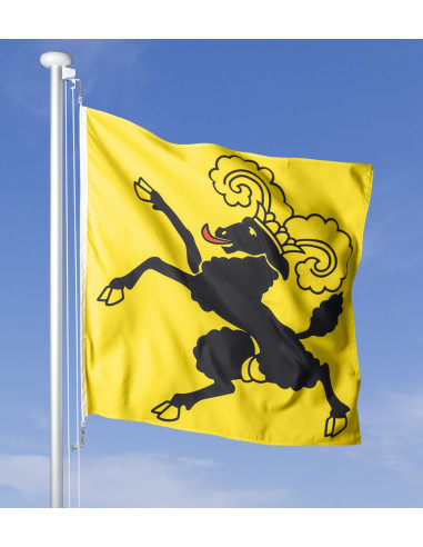 Schaffhauser Fahne im Wind wehend am Fahnen-Mast, im Hintergrund blauer Himmel
