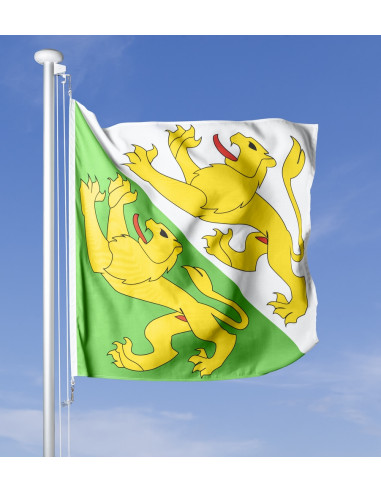 Thurgauer Fahne im Wind wehend am Fahnen-Mast, im Hintergrund blauer Himmel